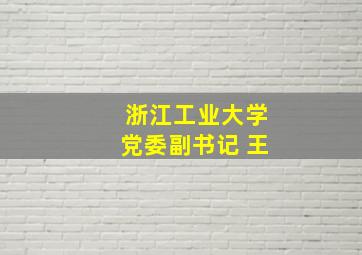 浙江工业大学党委副书记 王